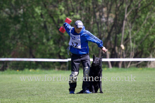 Schutzhund Training Dumbbells